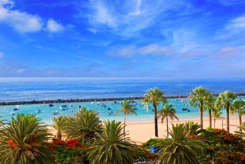 What Places to Visit in Europe in January: Tenerife, Canary Islands