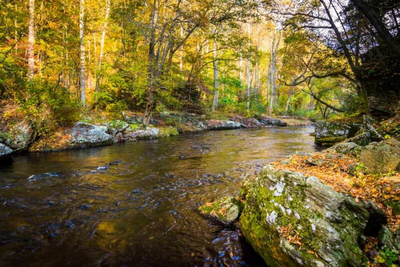 What to do in Maryland: Gunpowder Falls State Park