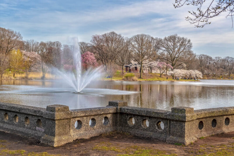 What to do in Newark, New Jersey: Branch Brook Park