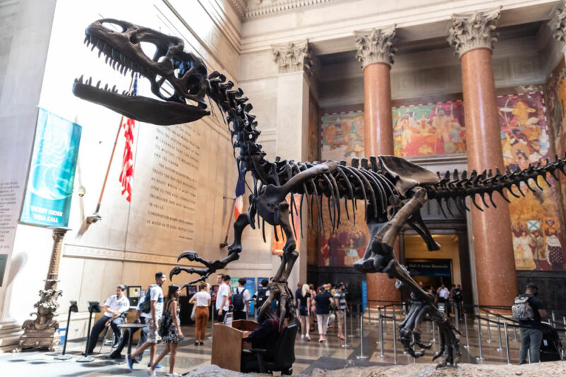 3 Days in New York City Itinerary: American Museum of Natural History