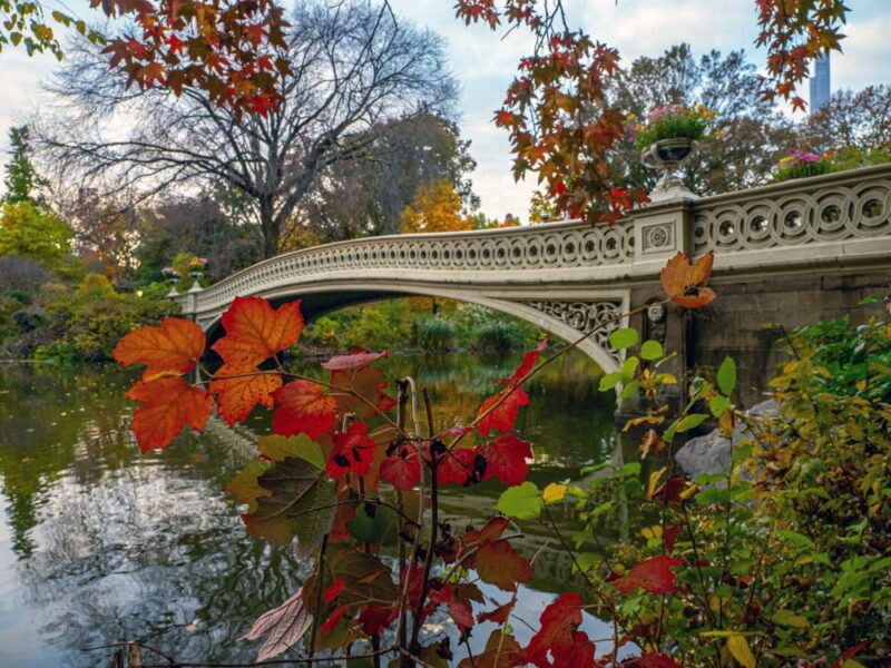 3 Days in New York City Weekend Itinerary: Central Park