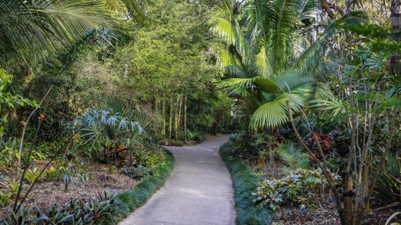 3 Days in Orlando Itinerary: Harry P Leu Gardens