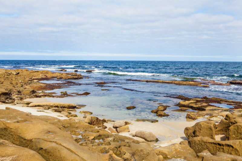 Best Things to do in Gloucester Massachusetts: Tide Pools