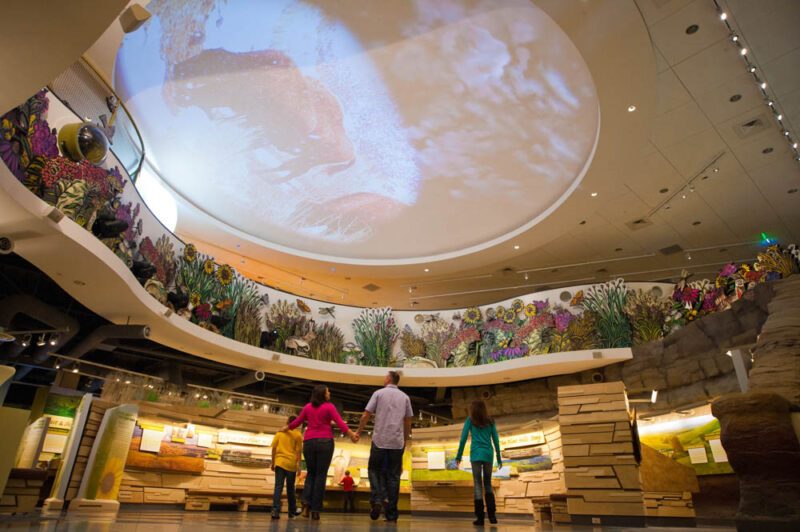Best Things to do in Kansas: Flint Hills Discovery Center