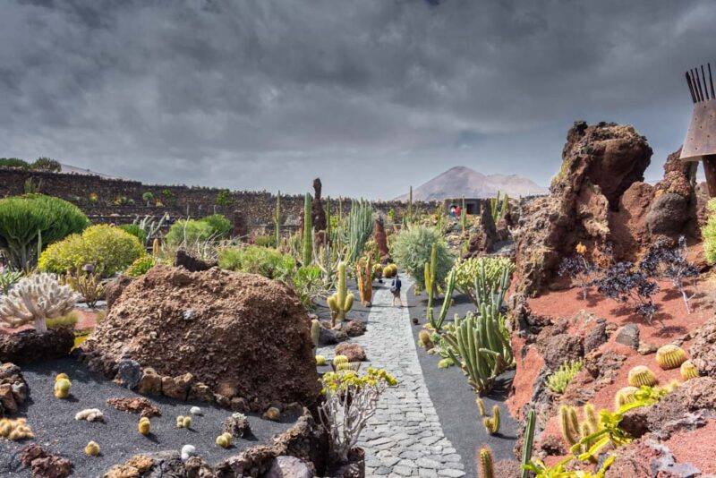 Lanzarote Bucket List: Jardin de Cactus