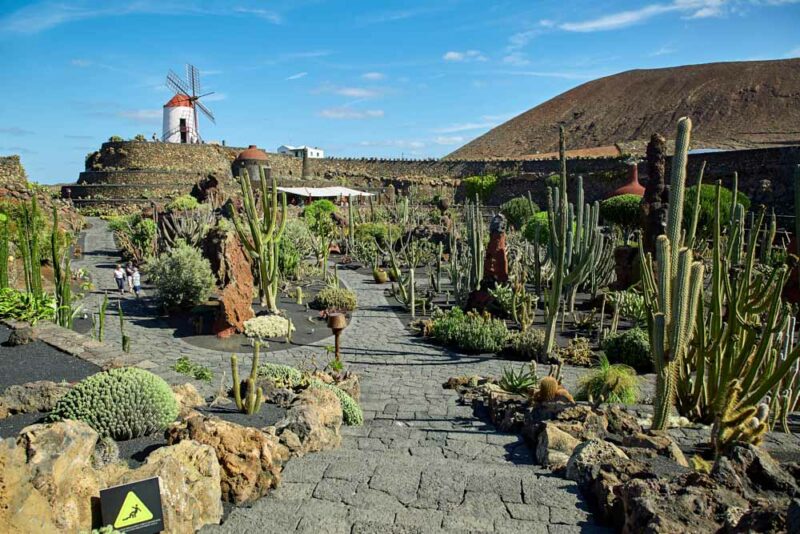 Must do things in Lanzarote: Jardin de Cactus