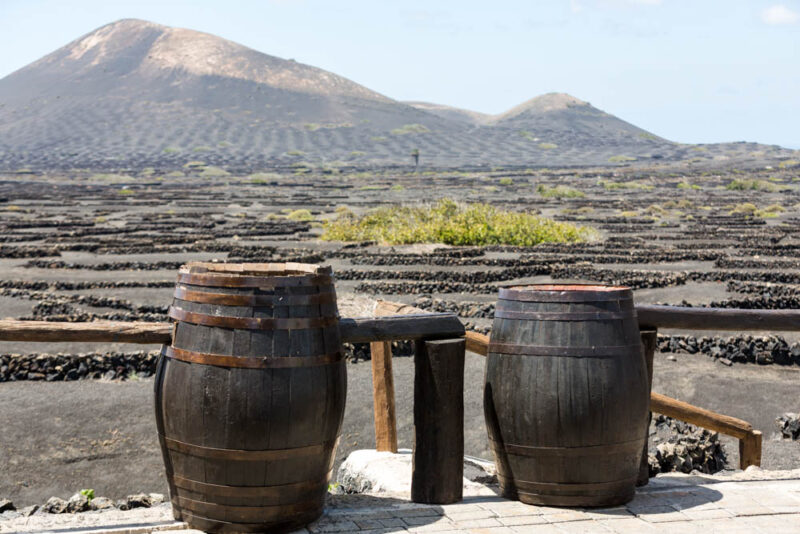 Must do things in Lanzarote: Volcanic Wine