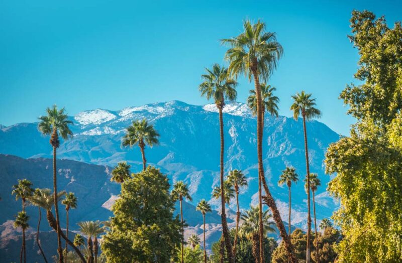 Palm Springs Bucket List: Greater Palm Springs

