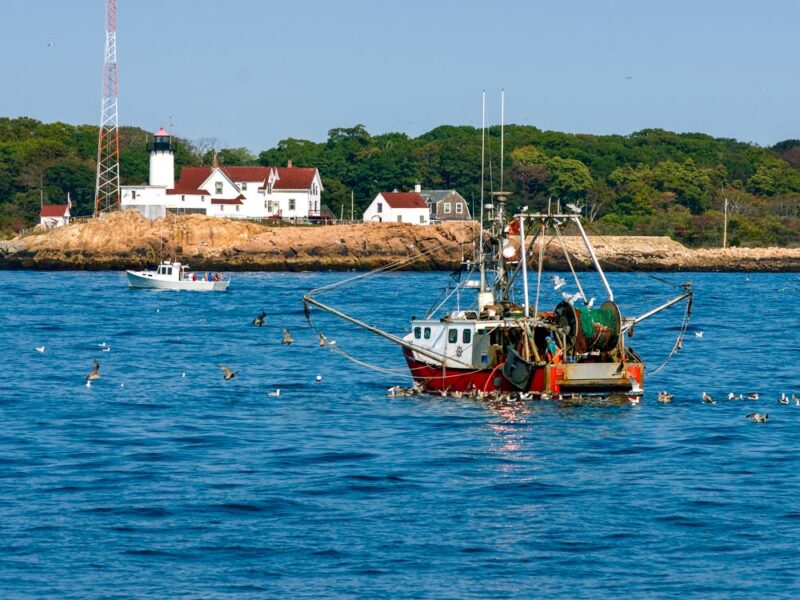 Where to Stay in Gloucester, MA: Best Hotels