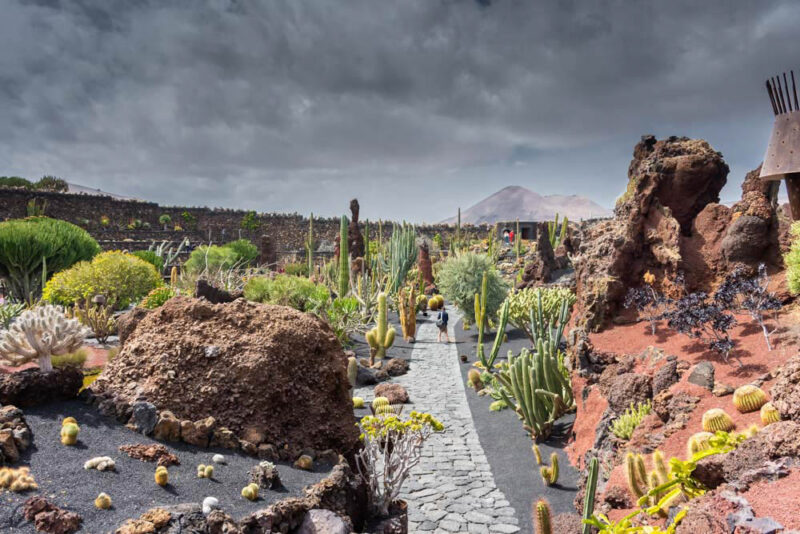 2 Weeks in Canary Islands Itinerary: Jardin de Cactus