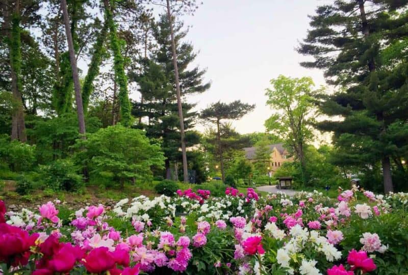 Ann Arbor, Michigan Bucket List: Nichols Arboretum