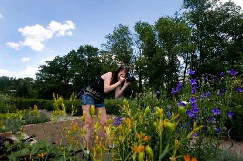 Ann Arbor, Michigan Things to do: Matthaei Botanical Garden