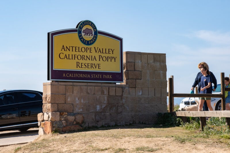 Best Cities to Visit in the US in March: Antelope Valley, California