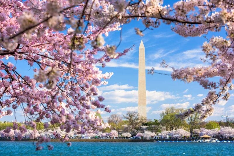 Best Cities to Visit in the US in March: Washington, DC
