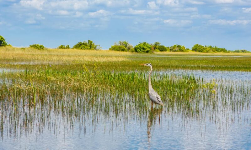 The Best Hotels Near Everglades National Park