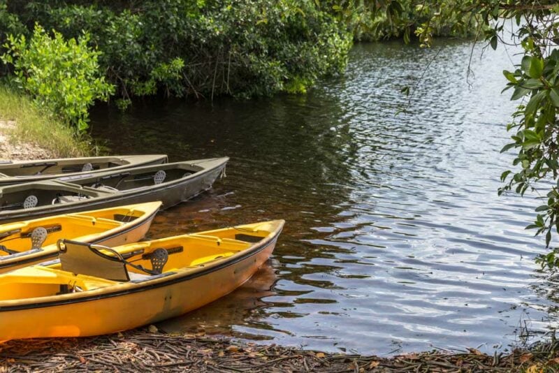 Best Things to do in Everglades National Park: Canoe the Nine Mile Pond Trail