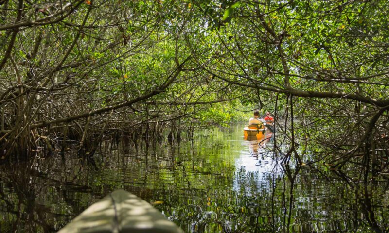 The Best Things to do in Everglades National Park