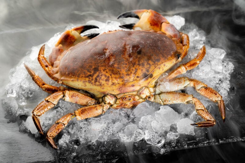 Best Things to do in Everglades National Park: Stone Crabs at Triad Seafood