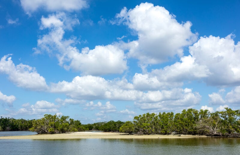 Best Things to do in Everglades National Park: Ten Thousand Islands
