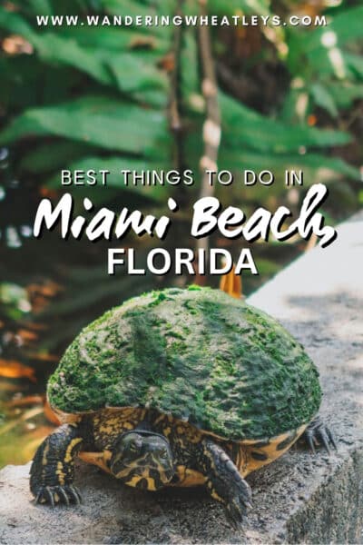 Best Things to do in Miami Beach, Florida