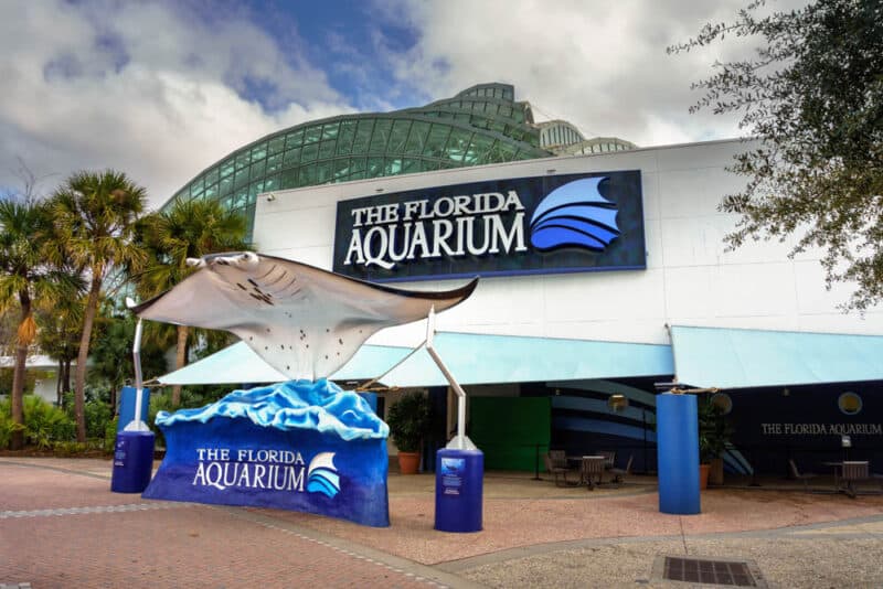 Best Things to do in Tampa, Florida: Florida Aquarium
