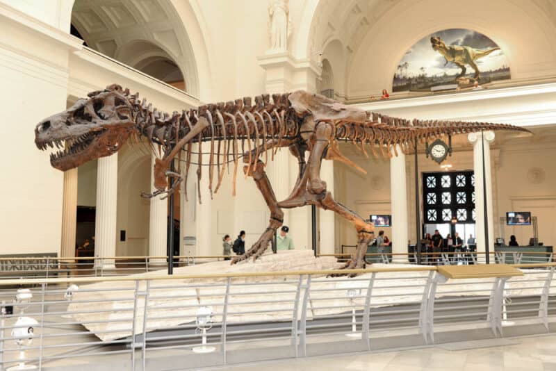 Chicago Things to do: Field Museum of Natural History