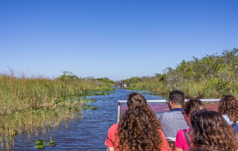 Cool Things to do in Everglades National Park: Boat Tour