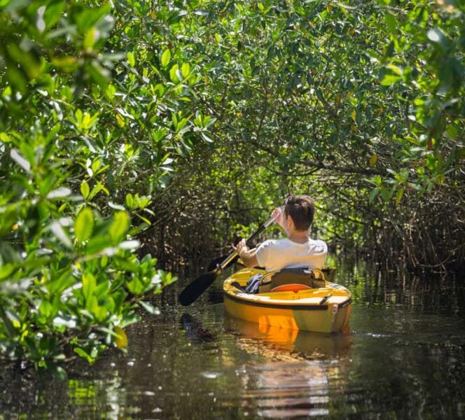 Cool Things to do in Everglades National Park: Canoe the Nine Mile Pond Trail