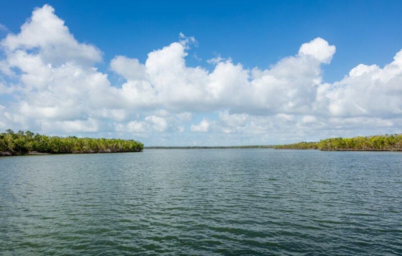 Cool Things to do in Everglades National Park: Ten Thousand Islands