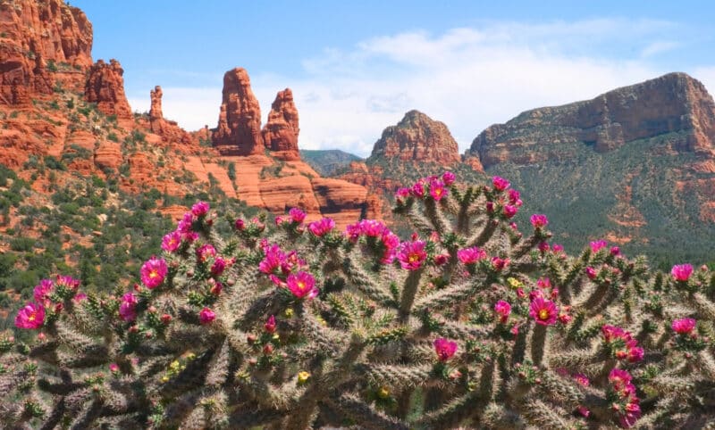 Cool Things to do in Flagstaff: Day Trip to Sedona