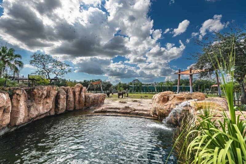 Cool Things to do in Tampa, Florida: ZooTampa at Lowry Park
