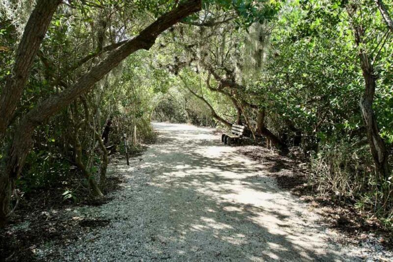 Everglades National Park Bucket List: Gumbo Limbo Trail