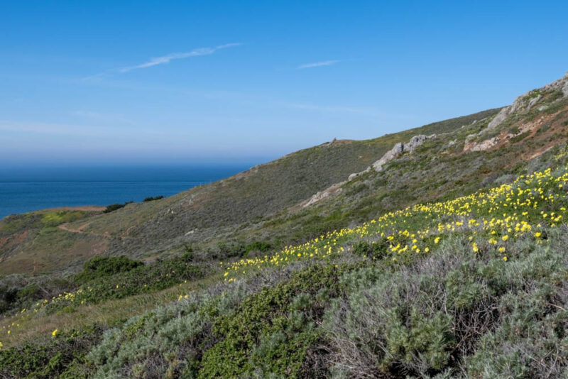 Must do things in Sausalito: Marin Headlands