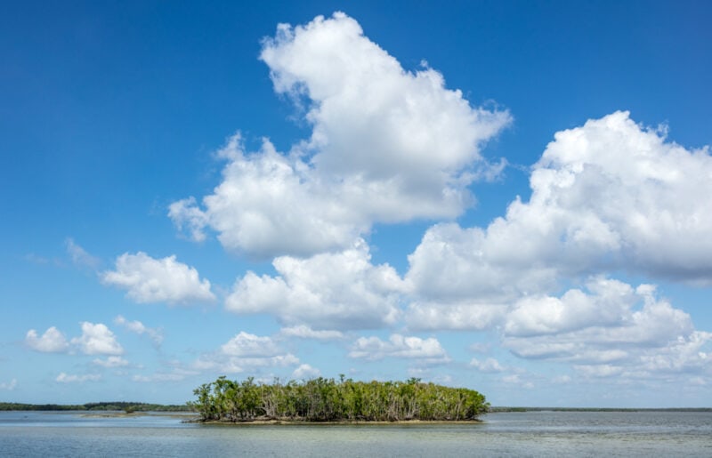 Unique Things to do in Everglades National Park: Ten Thousand Islands
