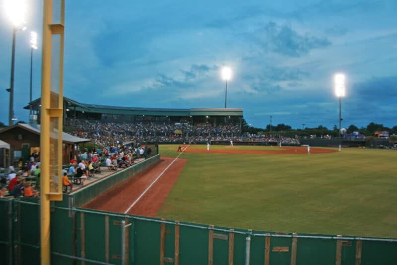 Unique Things to do in Myrtle Beach: Myrtle Beach Pelicans

