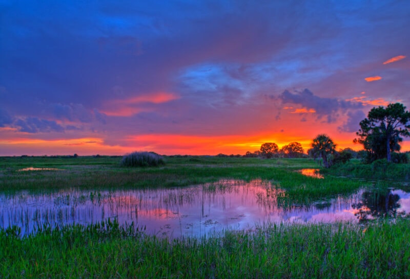 What Places to Visit in the US in February: Everglades National Park