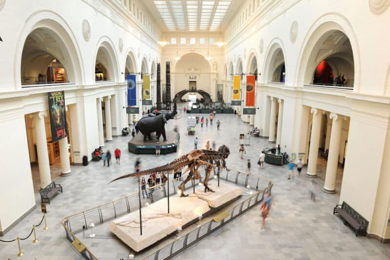 What to do in Chicago: Field Museum of Natural History