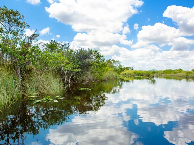 Where to Stay Near Everglades National Park: Best Hotels