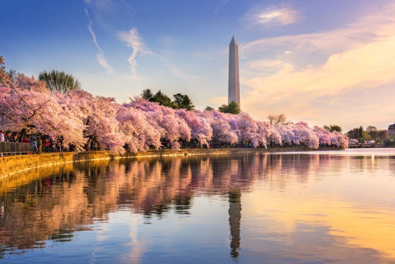 Where to Vacation in the US in March: Washington, DC