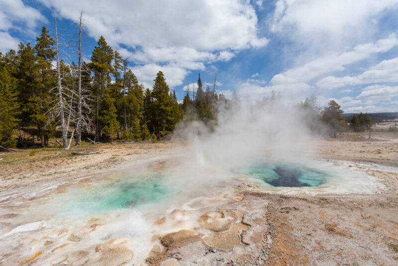 Where to Vacation in USA in May: Yellowstone National Park