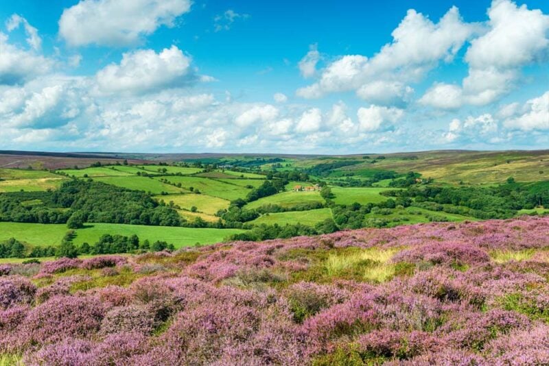 2 Week Itinerary in England: Yorkshire Moors