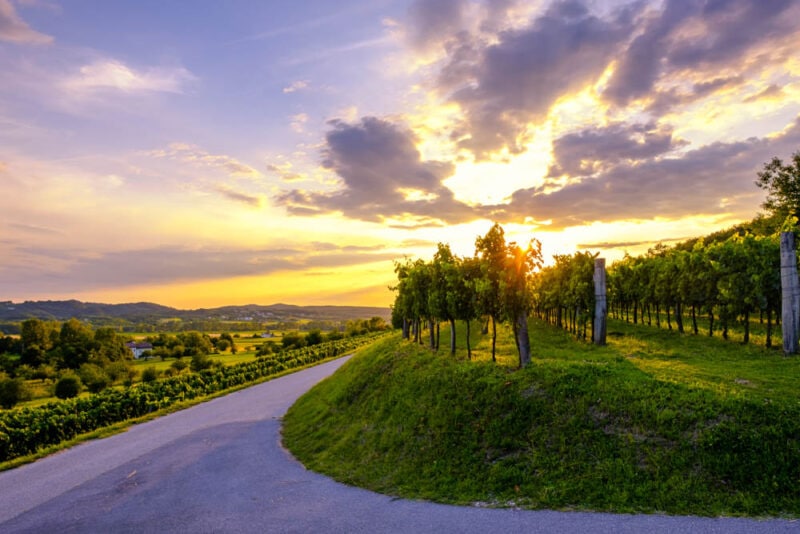 2 Week Slovenia Itinerary: A Highway in Vipava Valley