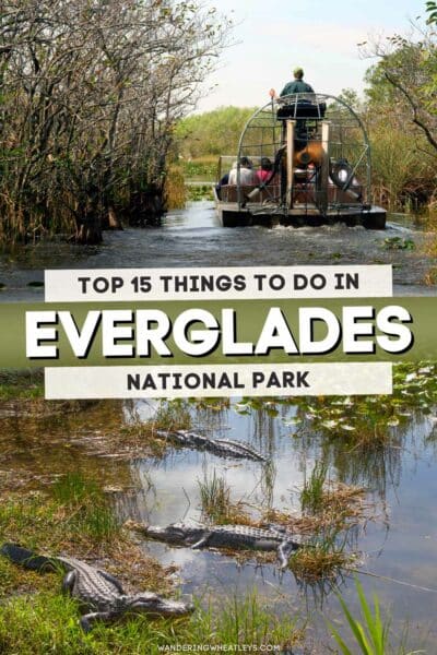 Best Things to do in Everglades National Park