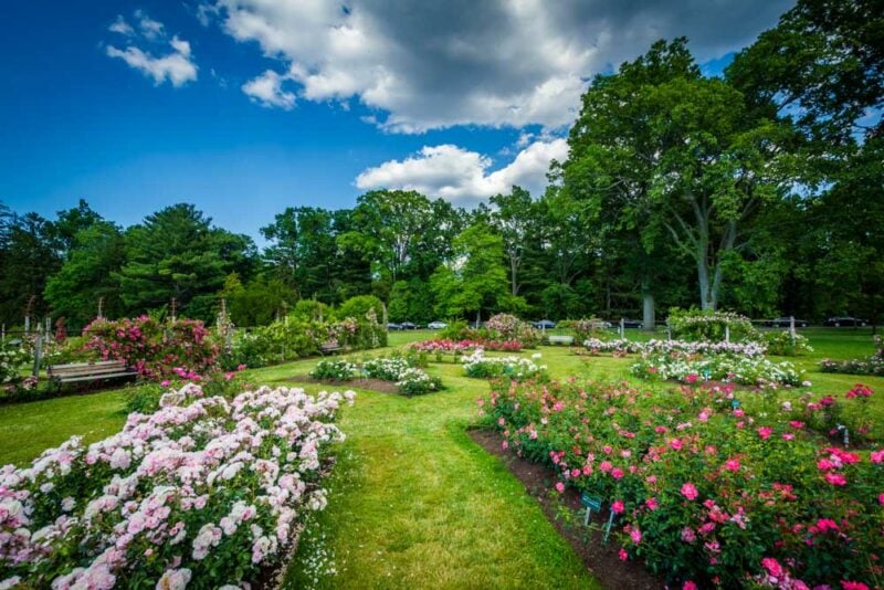 Best Things to do in Hartford, Connecticut: Elizabeth Park
