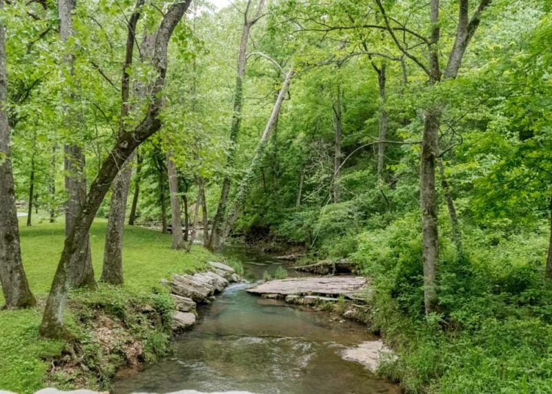 Best Things to do in Missouri: Dogwood Canyon