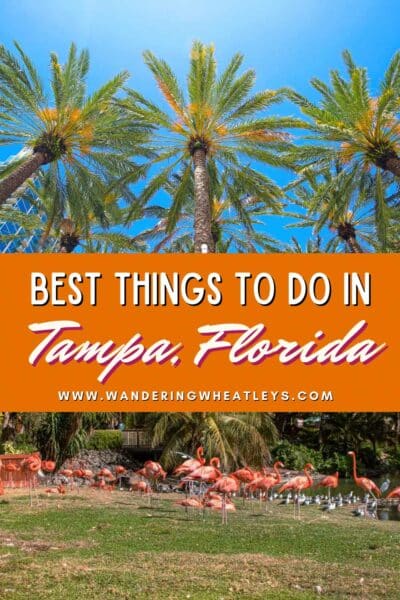 Best Things to do in Tampa, Florida