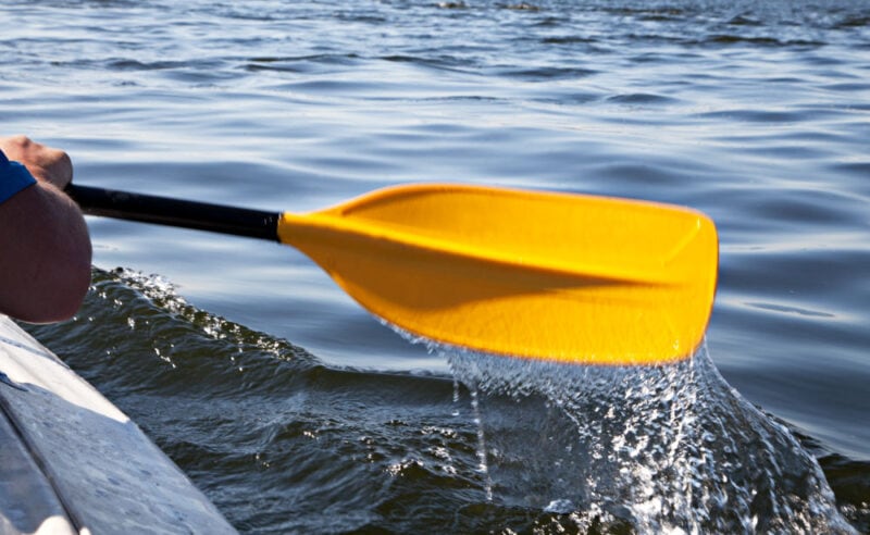 Charleston, South Carolina Things to do: Kayaking Along the Coast