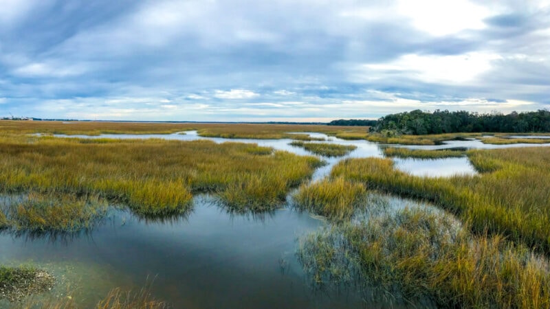 Cool Things to do in Jacksonville: Timucuan Ecological and Historic Preserve
