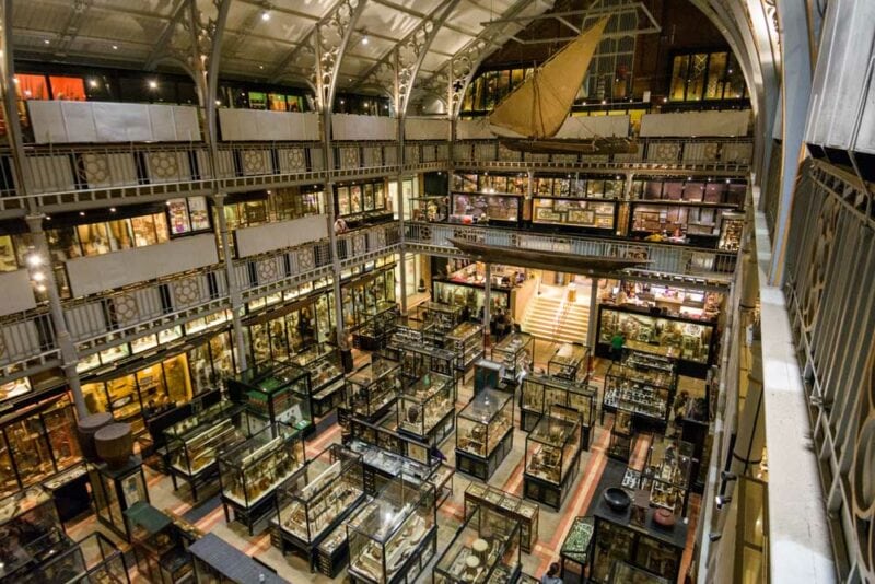 England Two Week Itinerary: Pitt Rivers Museum