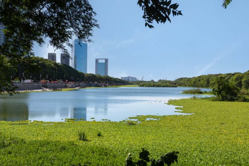 Fun Things to do in Buenos Aires: La Reserva Ecológica Costanera Sur
